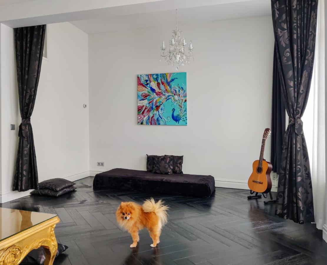 Sezane'S Lodges Amszterdam Kültér fotó